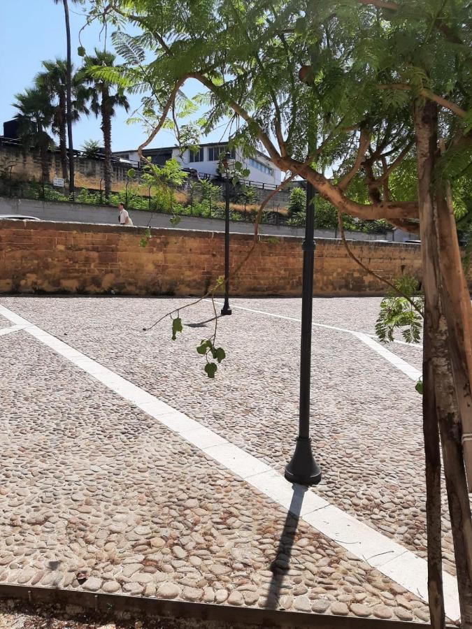 A Due Passi Dalla Cattedrale Apartment Palermo Luaran gambar